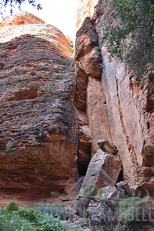 Cathedral Gorge
