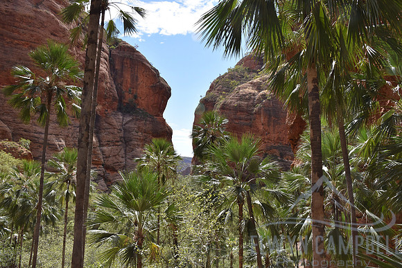 Mini Palm Gorge, Bungle Bungles