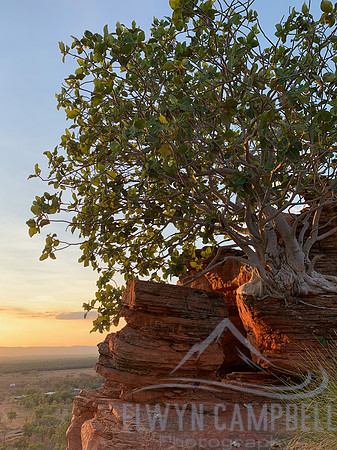 Kelly's Knob, Kununurra