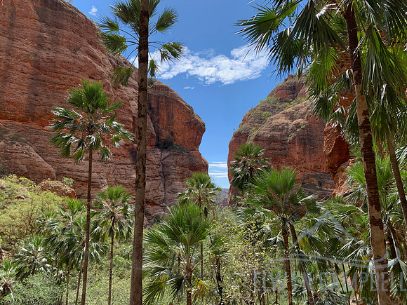 Mini Palm Gorge, Bungle Bungles