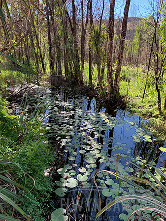 Champagne Springs Walk, El Questro