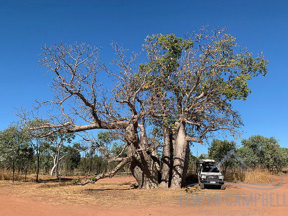 El Questro, Gibb River Road