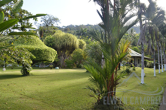 Dominical jungle lodge