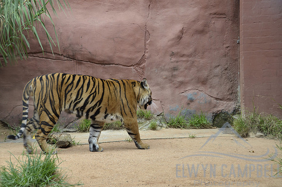 Taronga Zoo
