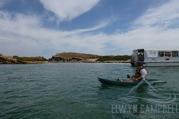 Seal Island