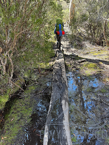 Overland Track
