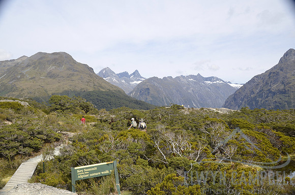 Routeburn Track