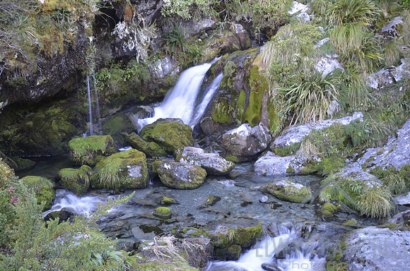 Routeburn Track