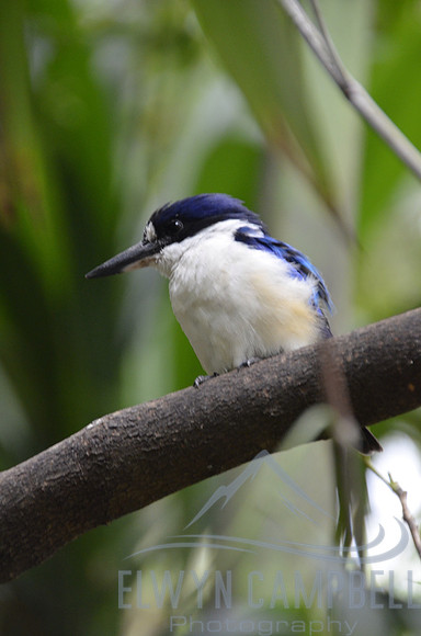 Taronga Zoo