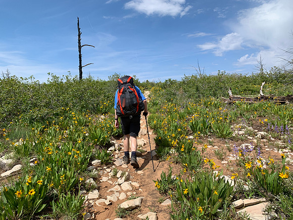 Zion National Park - West Rim Trail