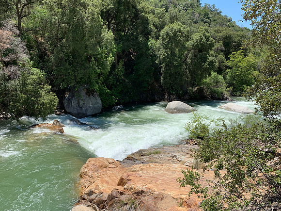 Sequoia National Park