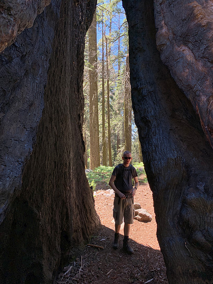 Sequoia National Park