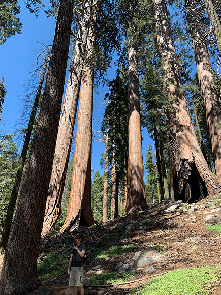 Sequoia National Park