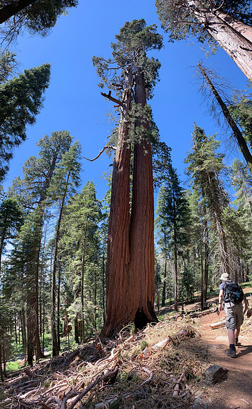Sequoia National Park