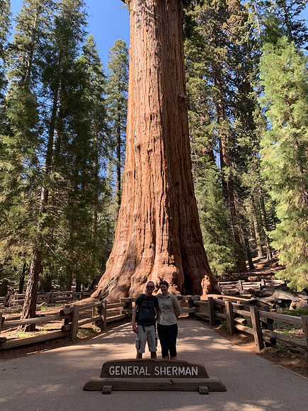 Sequoia National Park - General Sherman Tree