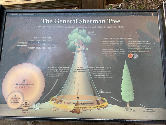 Sequoia National Park