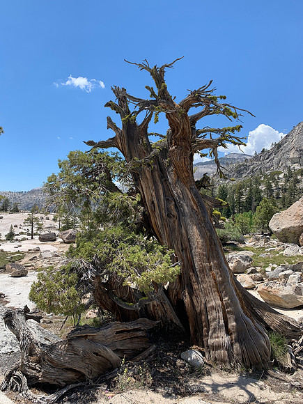 Yosemite - Merced River Hike