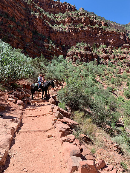 Grand Canyon