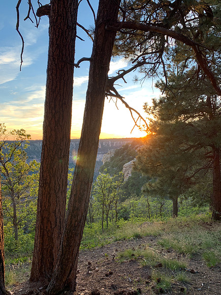 Grand Canyon North Rim