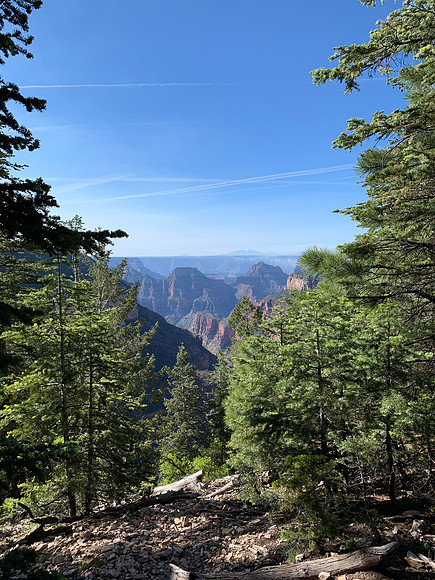 Grand Canyon Widforss Trail