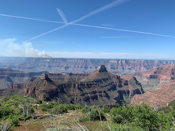 Grand Canyon Widforss Trail