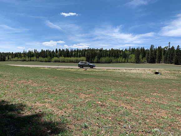North Rim Alpine Meadow