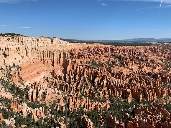 Bryce Canyon Hoodoos