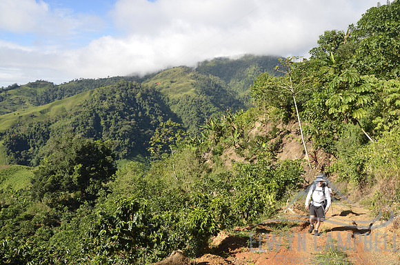 Hiking