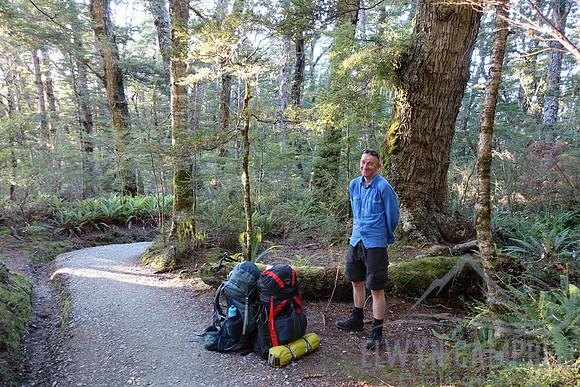 Kepler Track - Climbing to Luxmore Hut