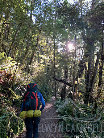 Kepler Track