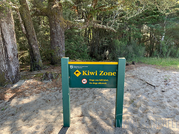 Kepler Track
