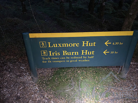 Kepler Track - early start for a long day's walk up and over the ridge to Iris Burn Hut