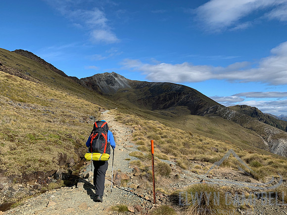 Kepler Track - Continuing climbing to Mt Luxmore