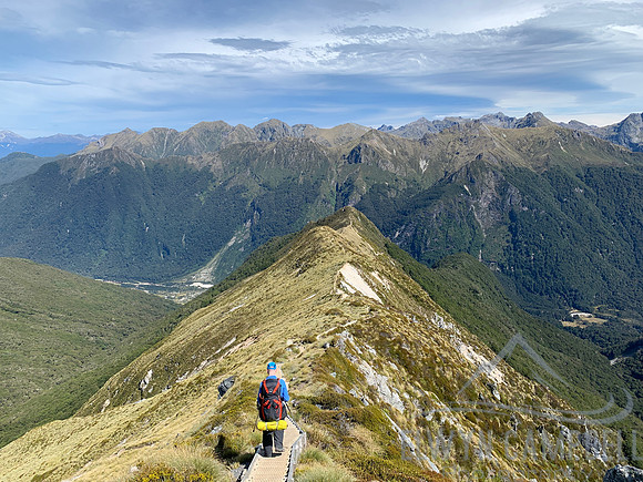 Kepler Track