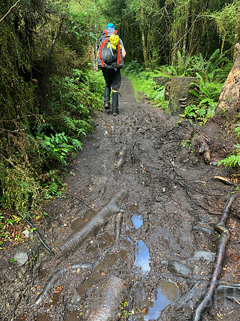 Kepler Track - mud after heavy overnight rain