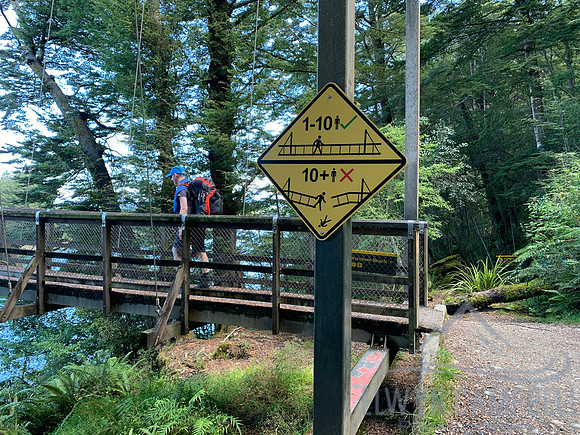 Kepler Track - Final brige, finishing at Rainbow Reach.