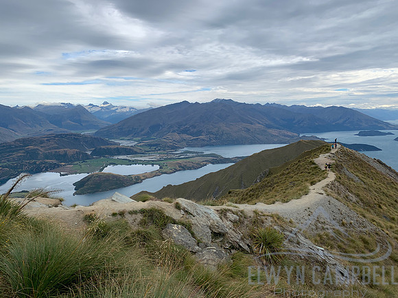 Roys Peak