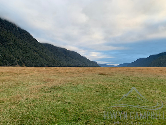 Eglinton Valley, Fiordland National Park. On our way to Milford Sound