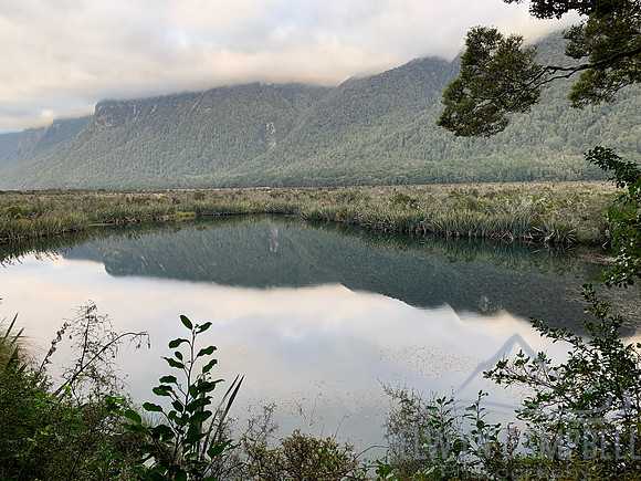 Eglinton Valley, Fiordland National Park