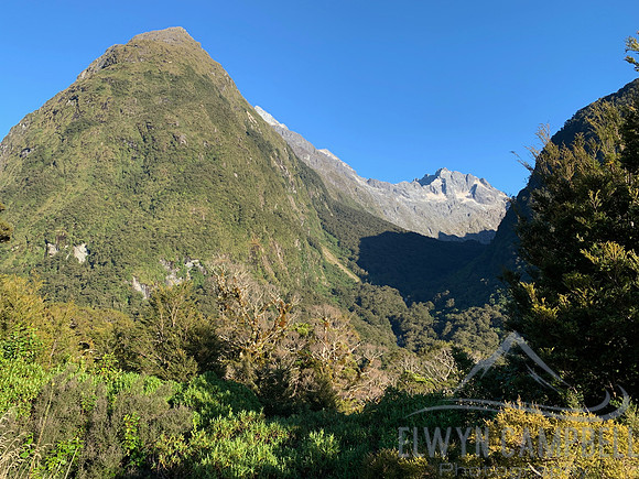 Fiordland National Park, just past The Divide