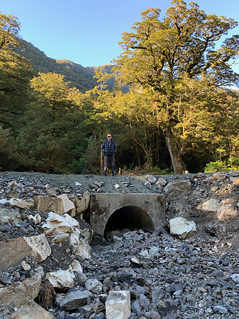 Repaired road near Hollyford River