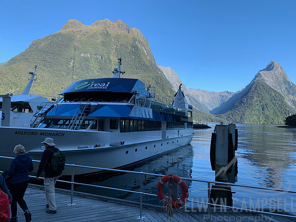 Milford Sound, our day cruise boat