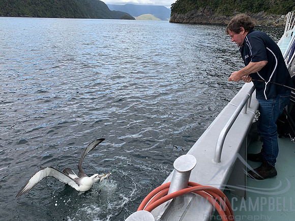 Doubtful Sound, fighting for the fish