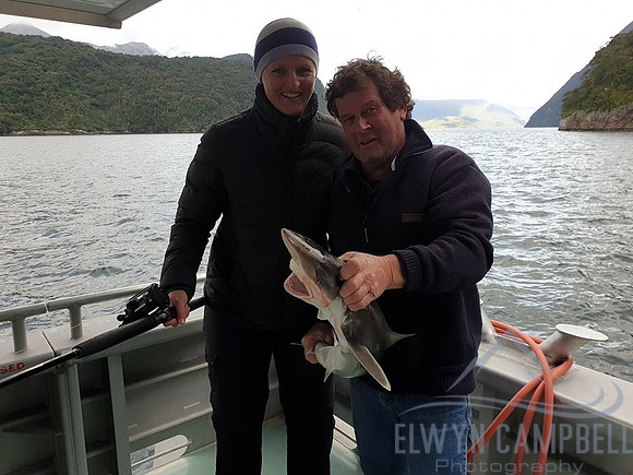 Doubtful Sound, I caught a shark! Hard work to reel in!