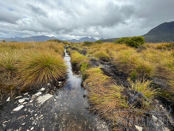 Overland Track