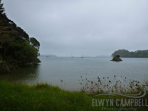 Omakiwi Cove