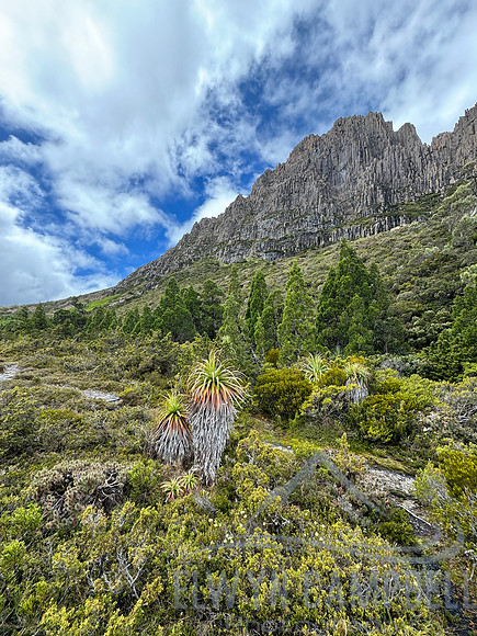 Overland Track