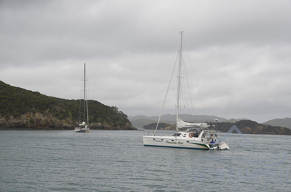 Paradise Bay, Urapukapuka Island