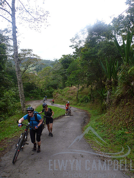 Cyclong