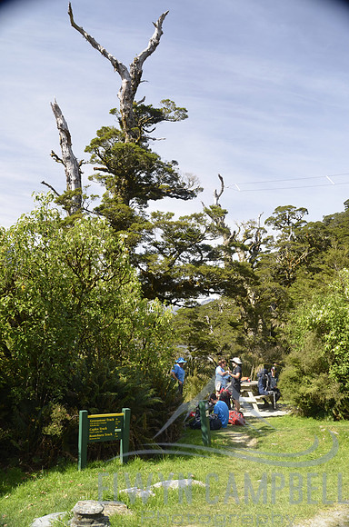 Routeburn Track